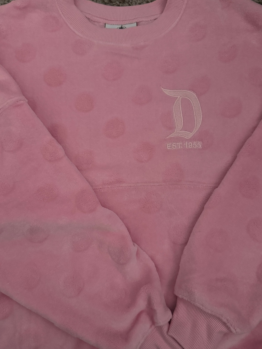 Disneyland Spirit Jersey